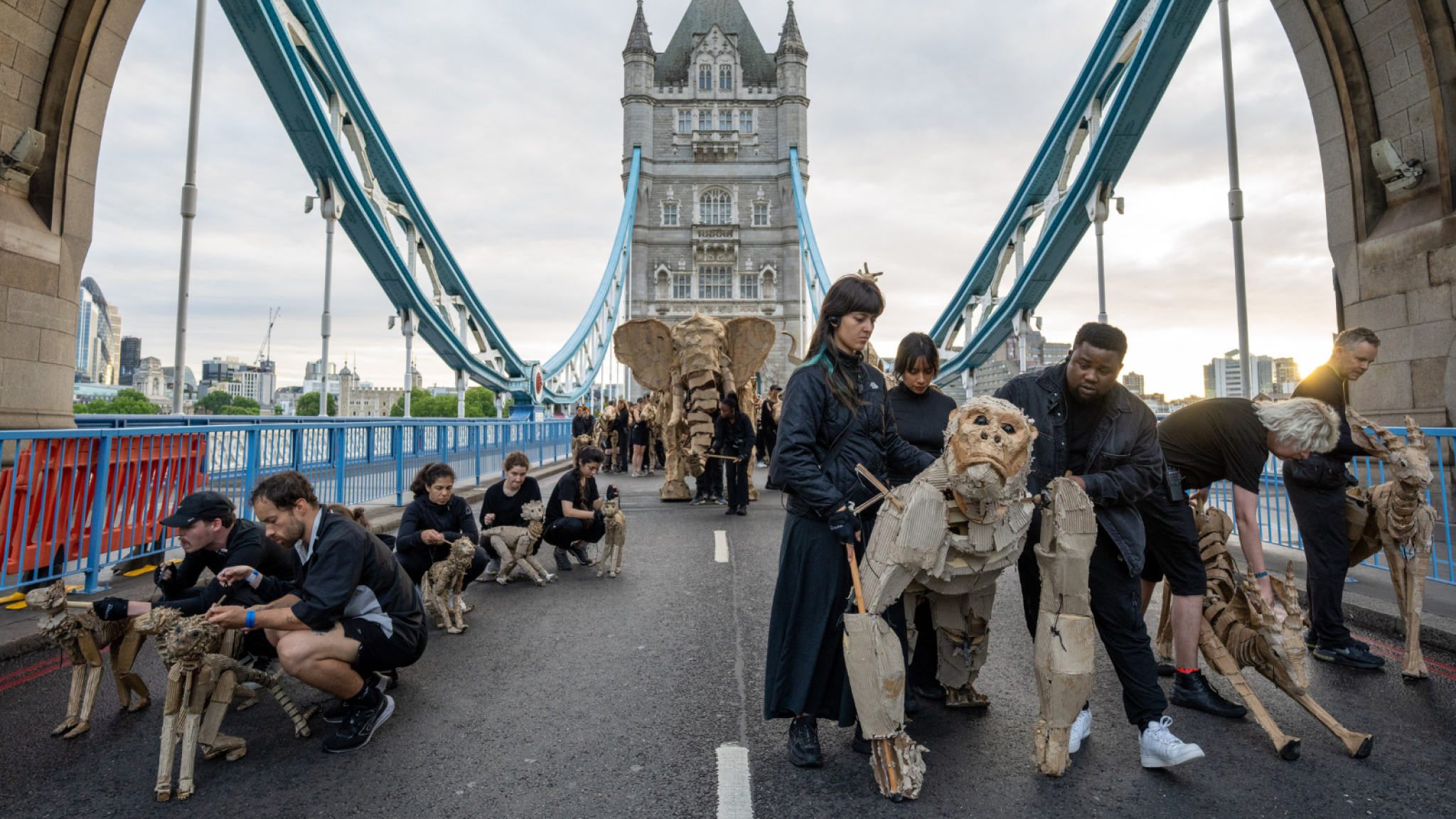 The Herds crossing Tower Bridge. Life-size puppet animals are carefully manoeuvred by a team of black-clad artists.